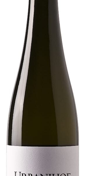Grüner Veltliner Wagramer Selektion BIO 2021