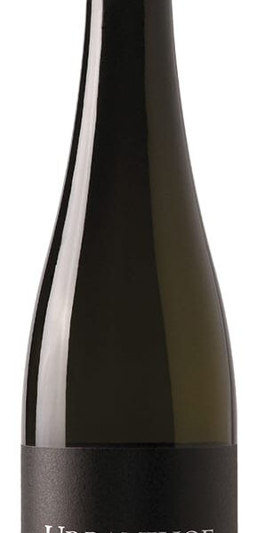 Grüner Veltliner "1598" BIO 2019