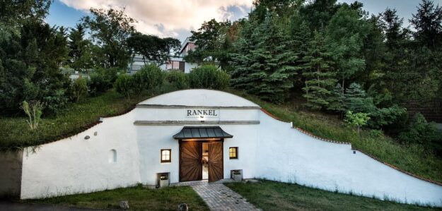 Rankel Walnuss