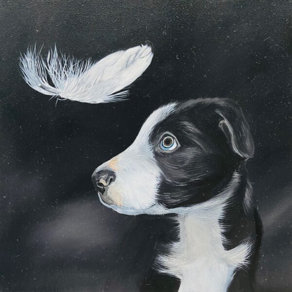 Lightness